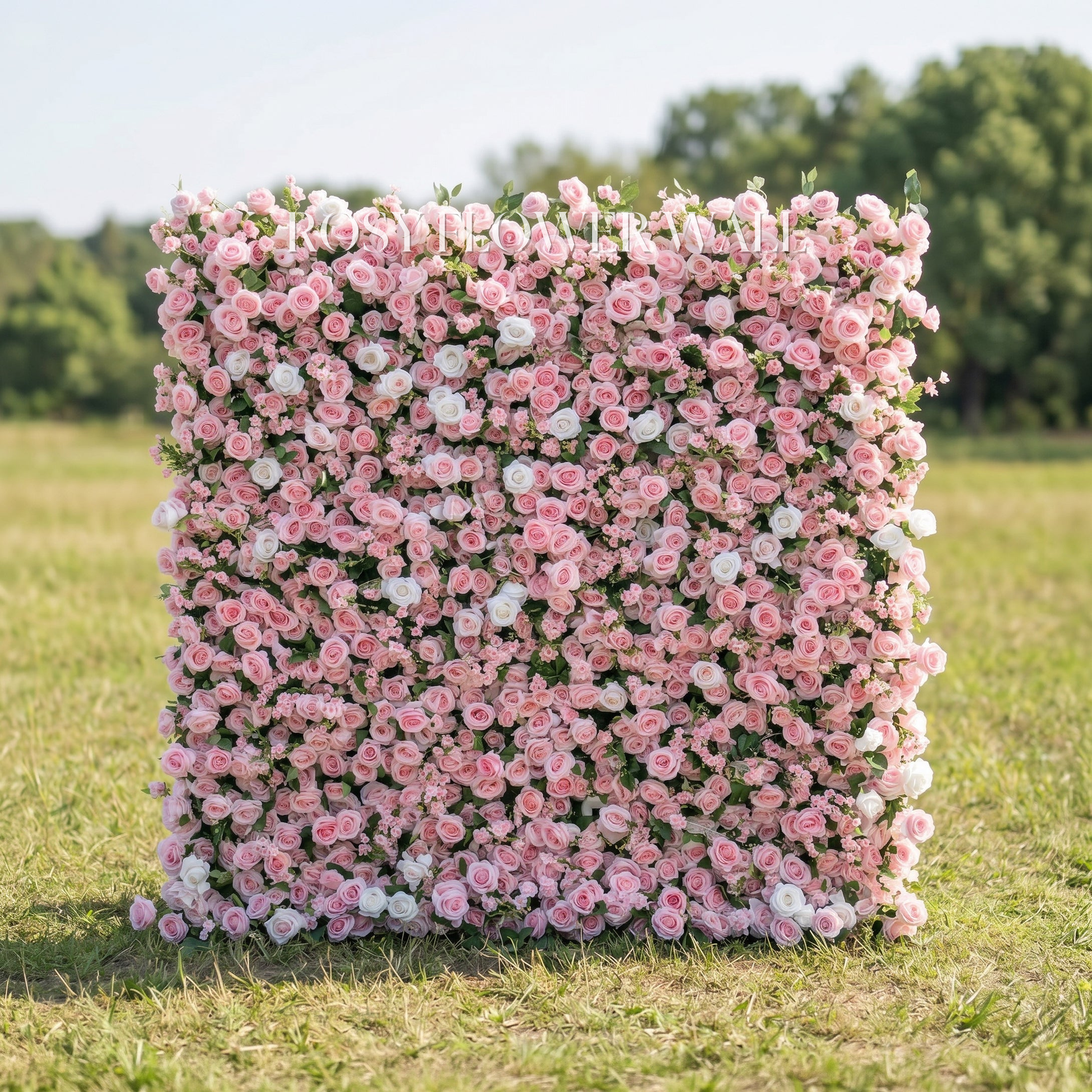 Pink rose flower wall with transparent Rosy Flower Wall logo