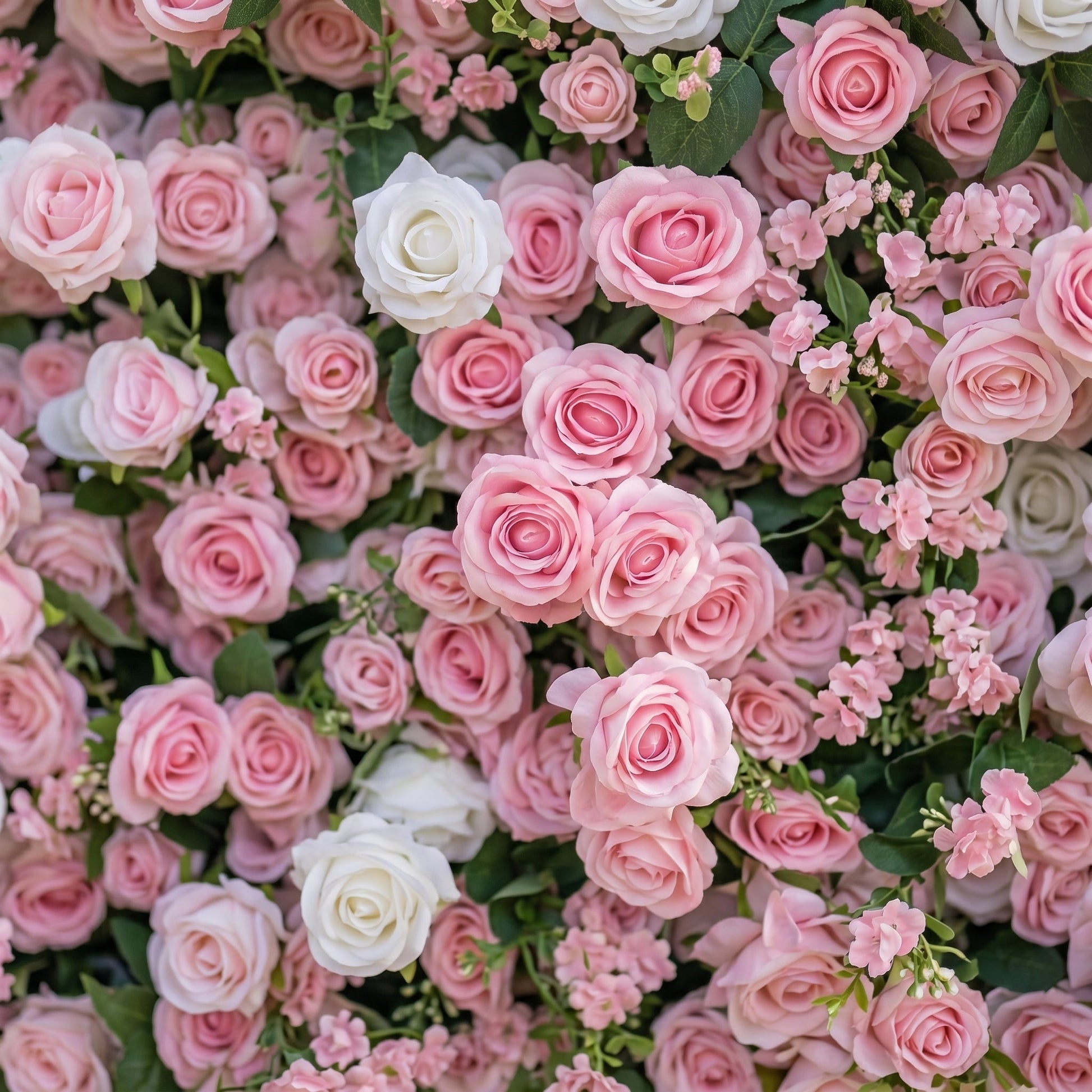 Pink silk rose flower wall close-up