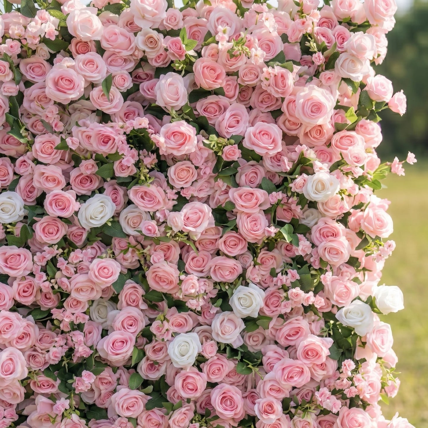 Pink rose flower backdrop detail
