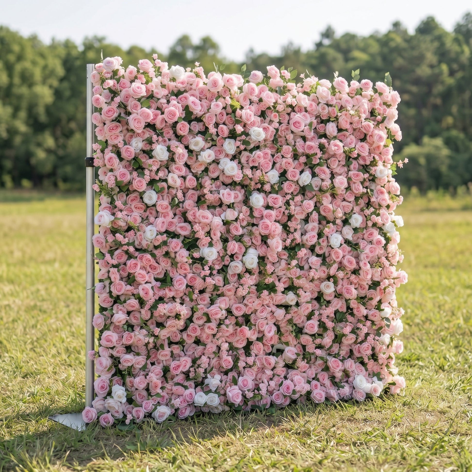 Pink rose flower wall side view