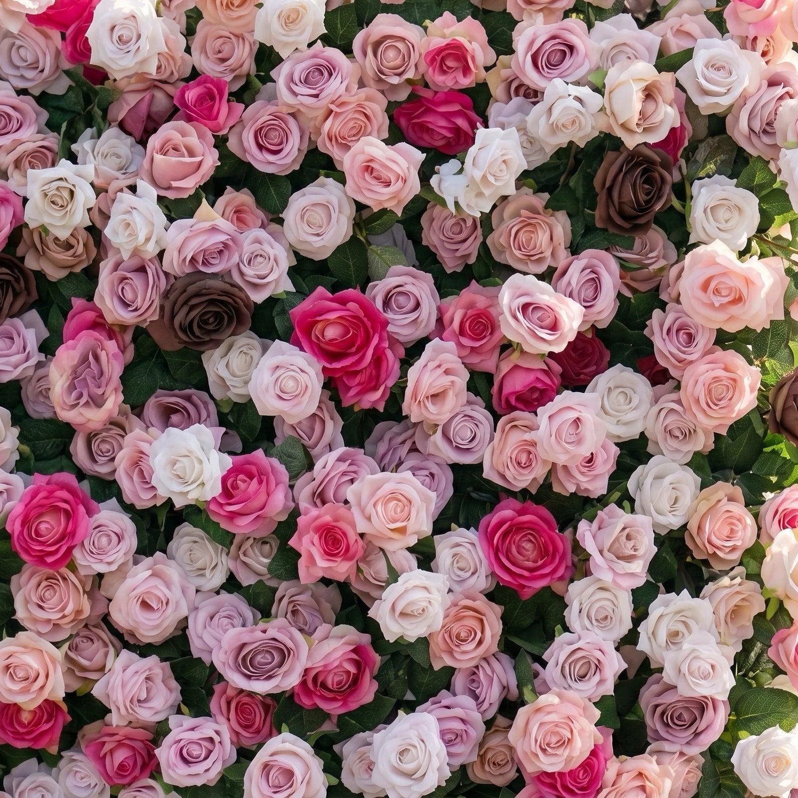 3D pink rose flower wall detail