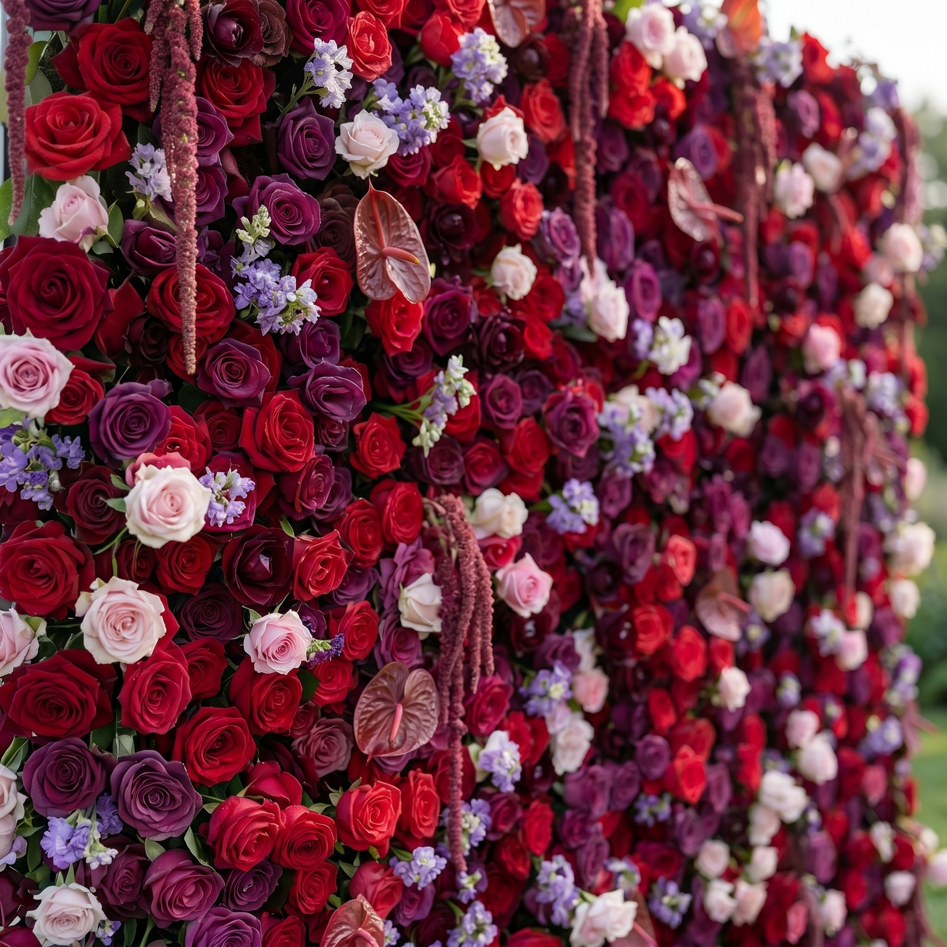 Purple and red silk flower wall close-up
