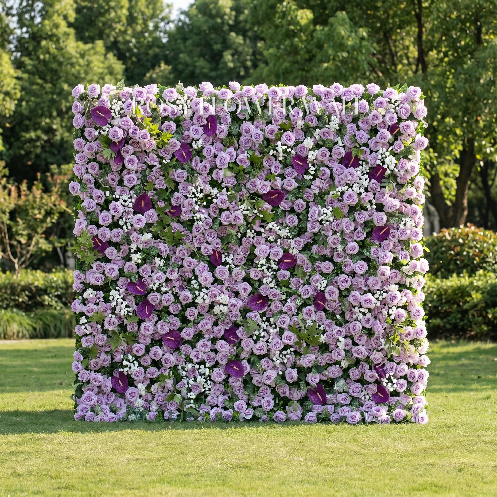 Purple rose flower wall with transparent Rosy Flower Wall logo