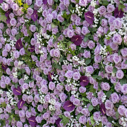 Purple silk rose flower wall close-up