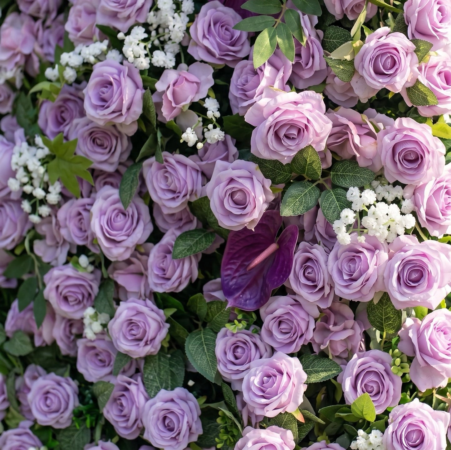 Purple rose flower backdrop detail