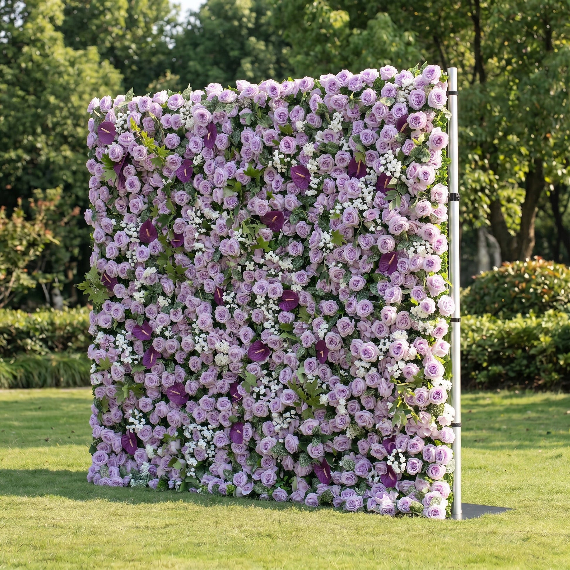 Purple rose flower wall side view