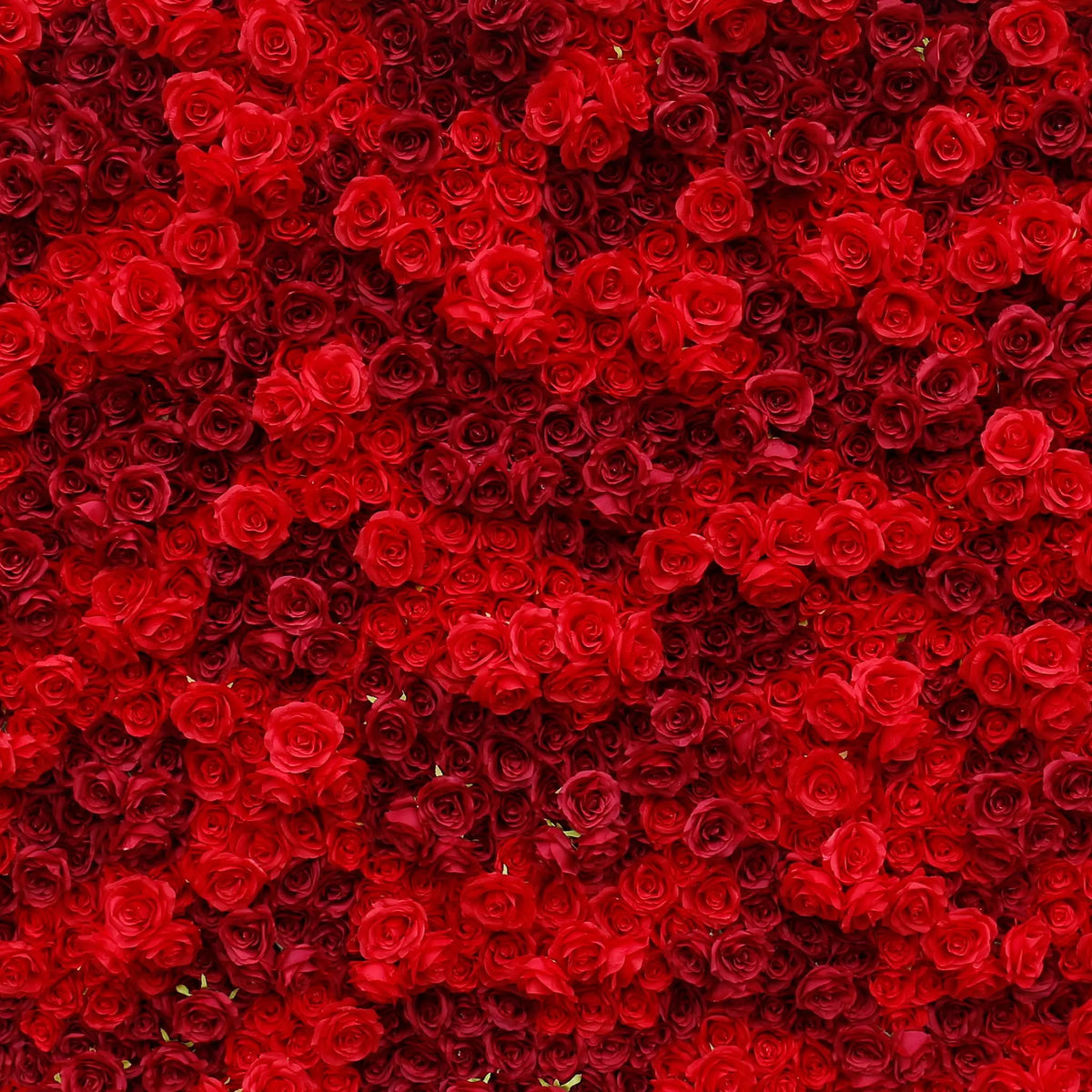 Rosy 3D Texture Pure Red Rose Cloth Roll Up Flowers Wall Backdrop