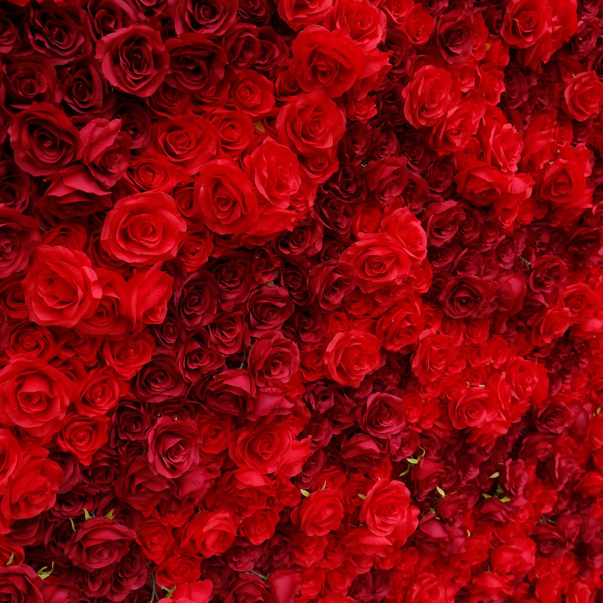 Rosy 3D Texture Pure Red Rose Cloth Roll Up Flowers Wall Backdrop