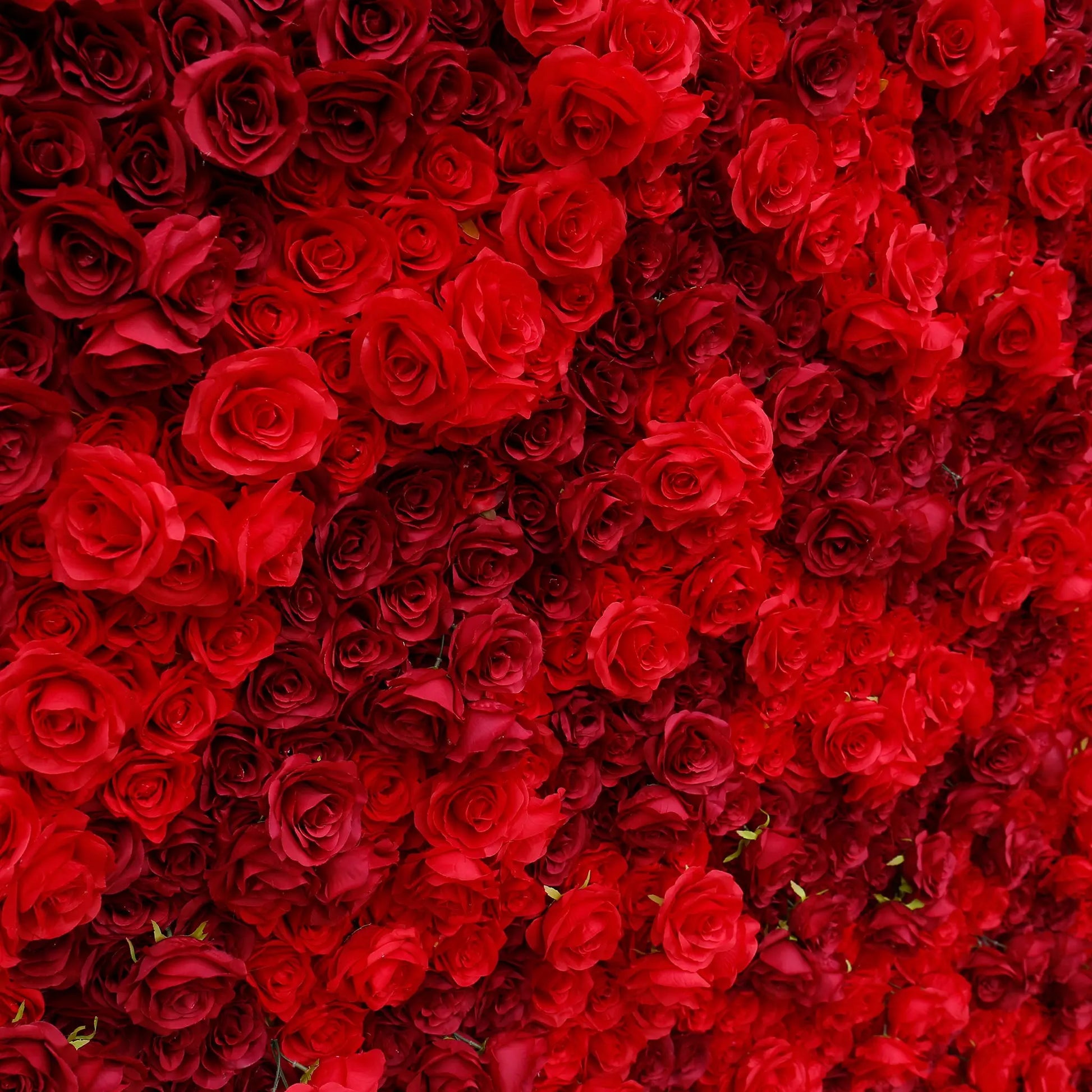 Rosy 3D Texture Pure Red Rose Cloth Roll Up Flowers Wall Backdrop