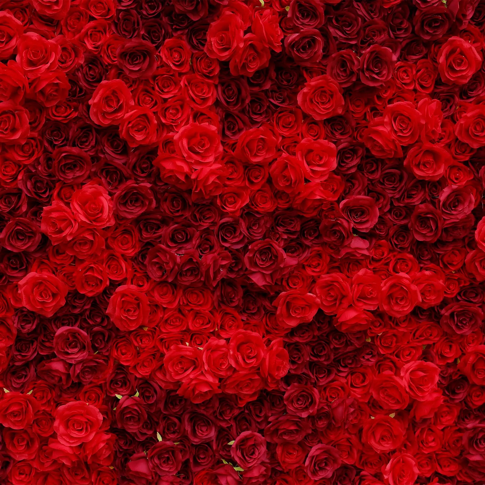 Rosy 3D Texture Pure Red Rose Cloth Roll Up Flowers Wall Backdrop