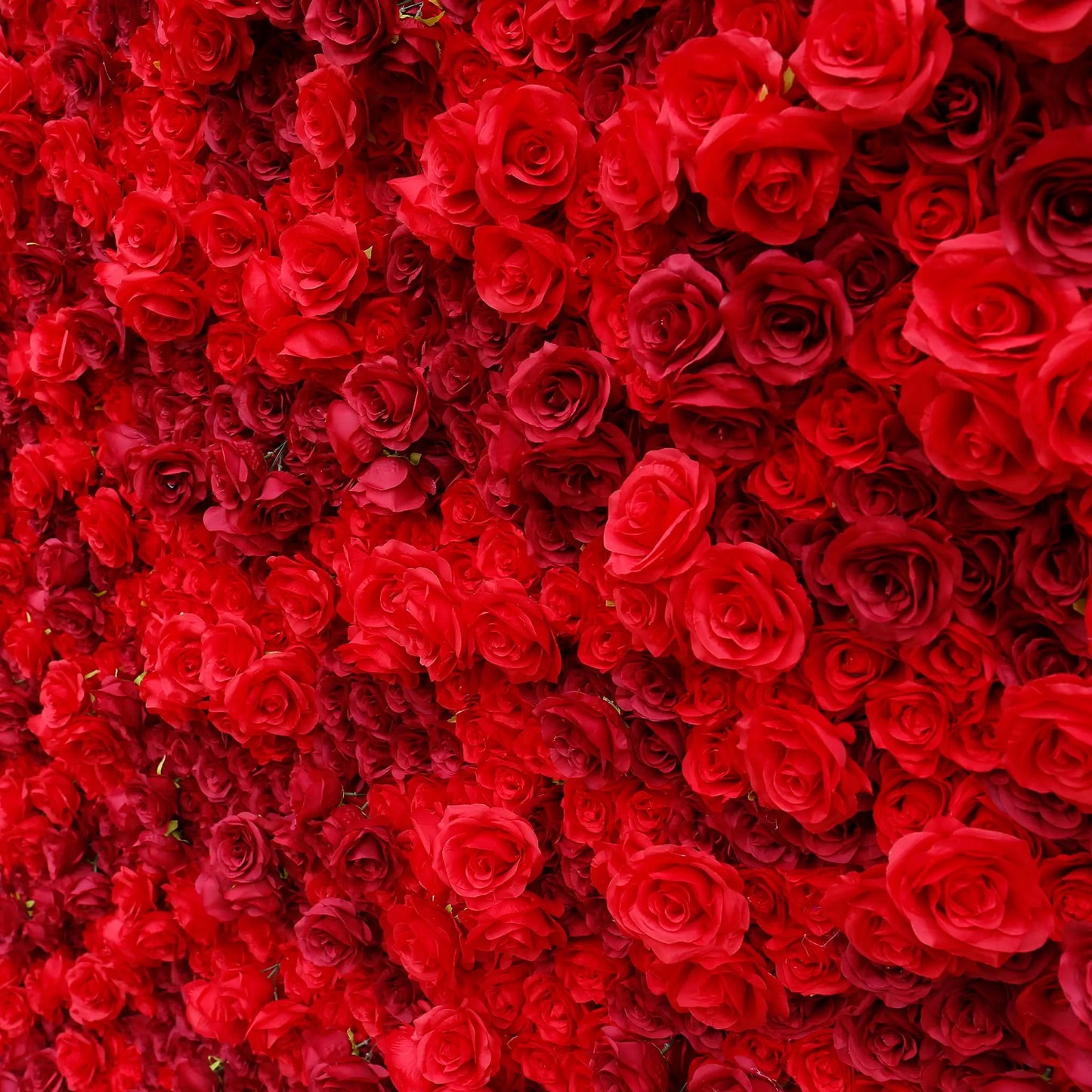 Rosy 3D Texture Pure Red Rose Cloth Roll Up Flowers Wall Backdrop