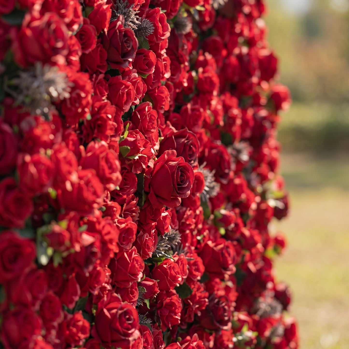Deep red silk rose flower wall texture