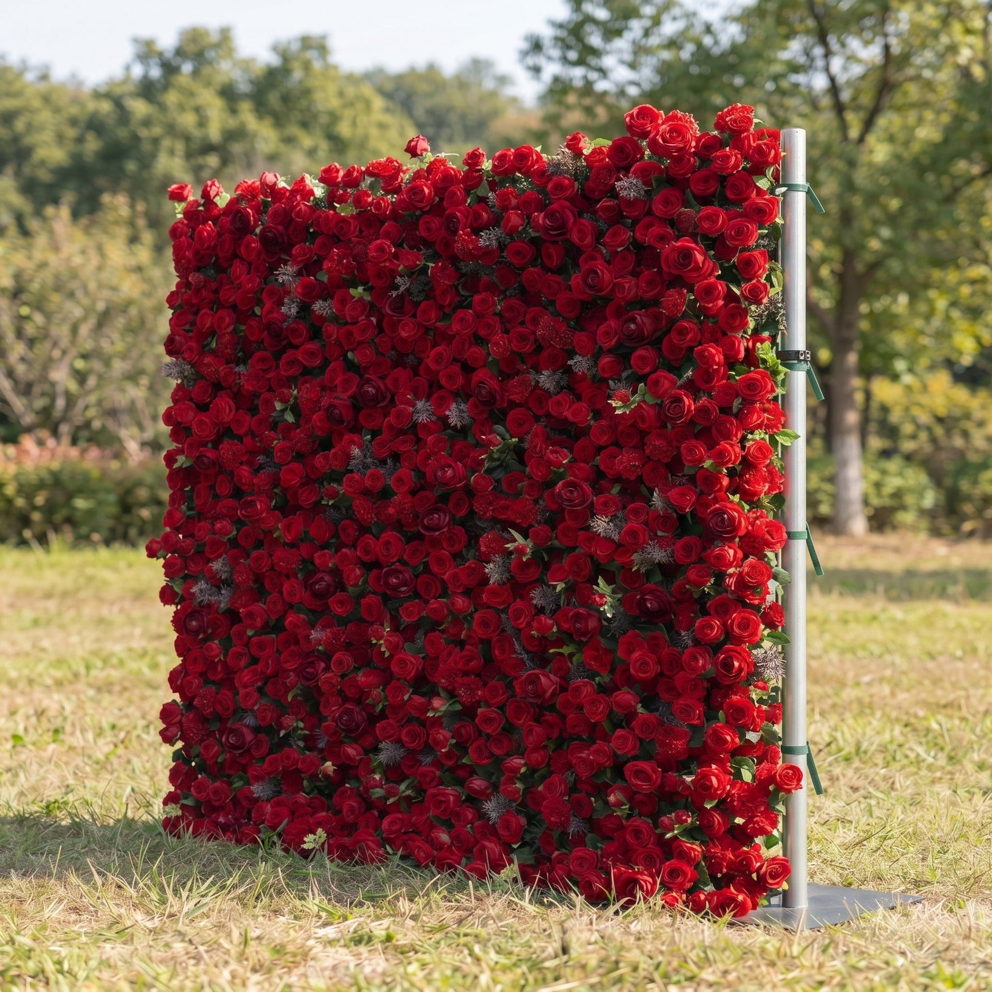 Red rose flower wall backdrop side view