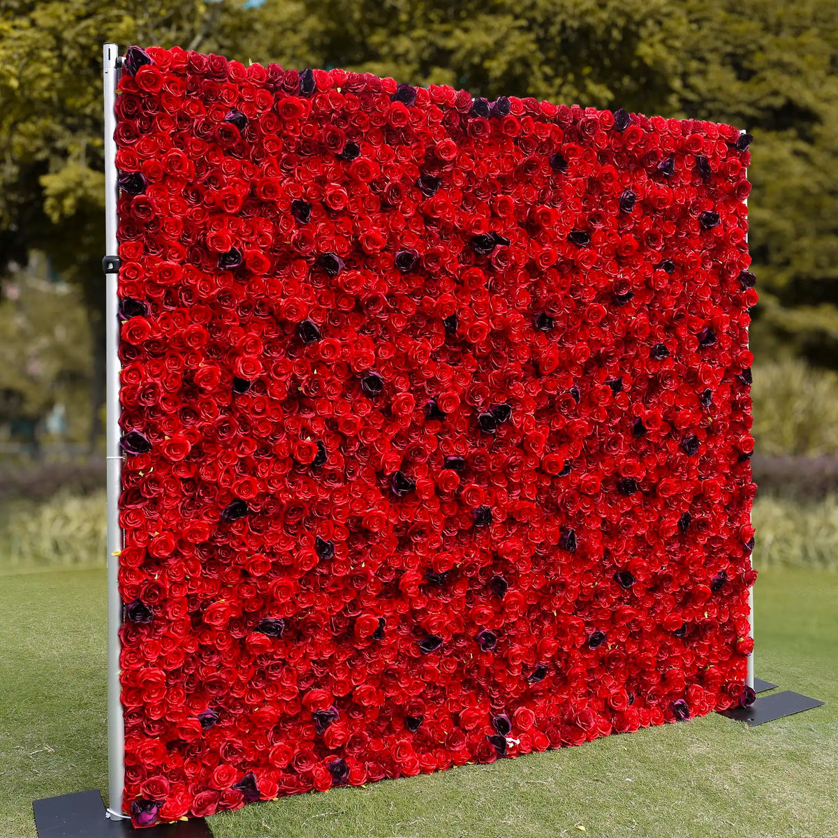Rosy 3D Red Rose with Black Dot Embellish Floral Wall