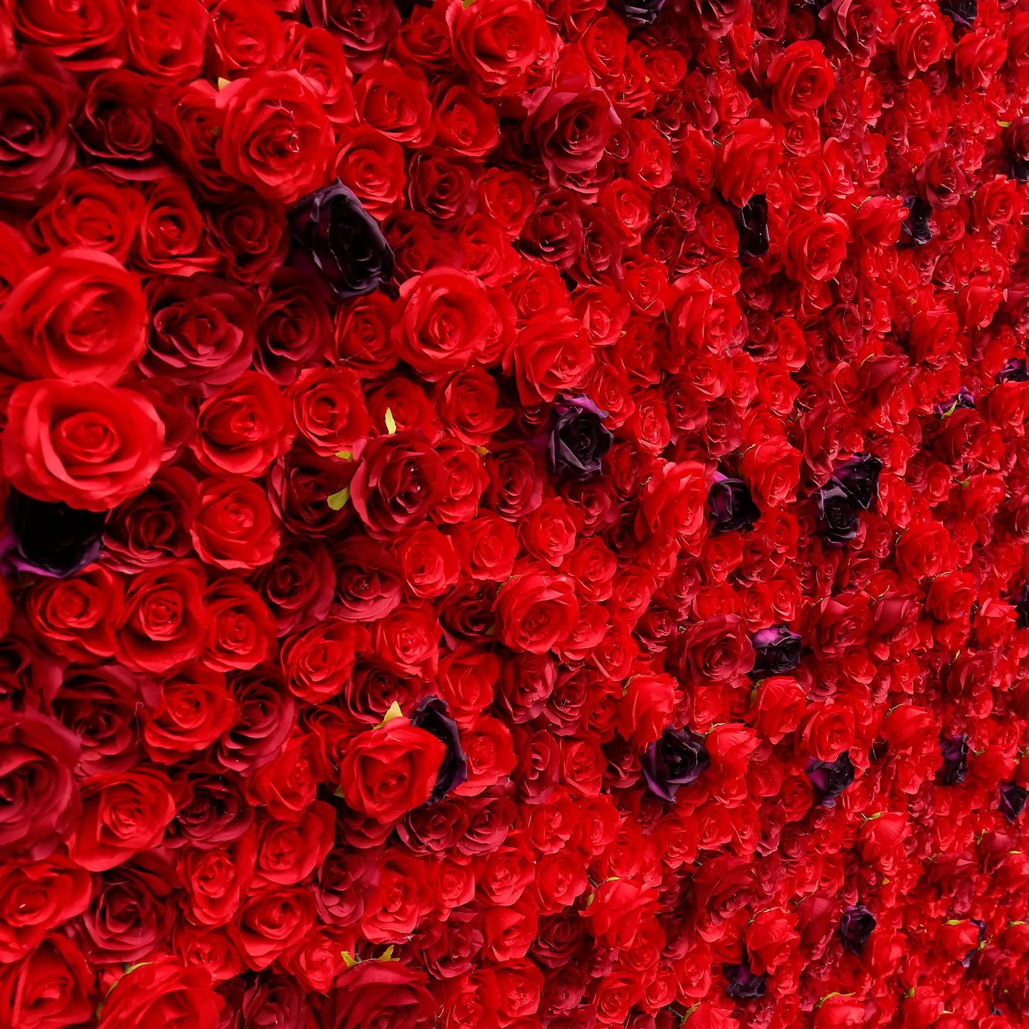 Rosy 3D Red Rose with Black Dot Embellish Floral Wall