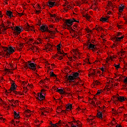 Rosy 3D Red Rose with Black Dot Embellish Floral Wall