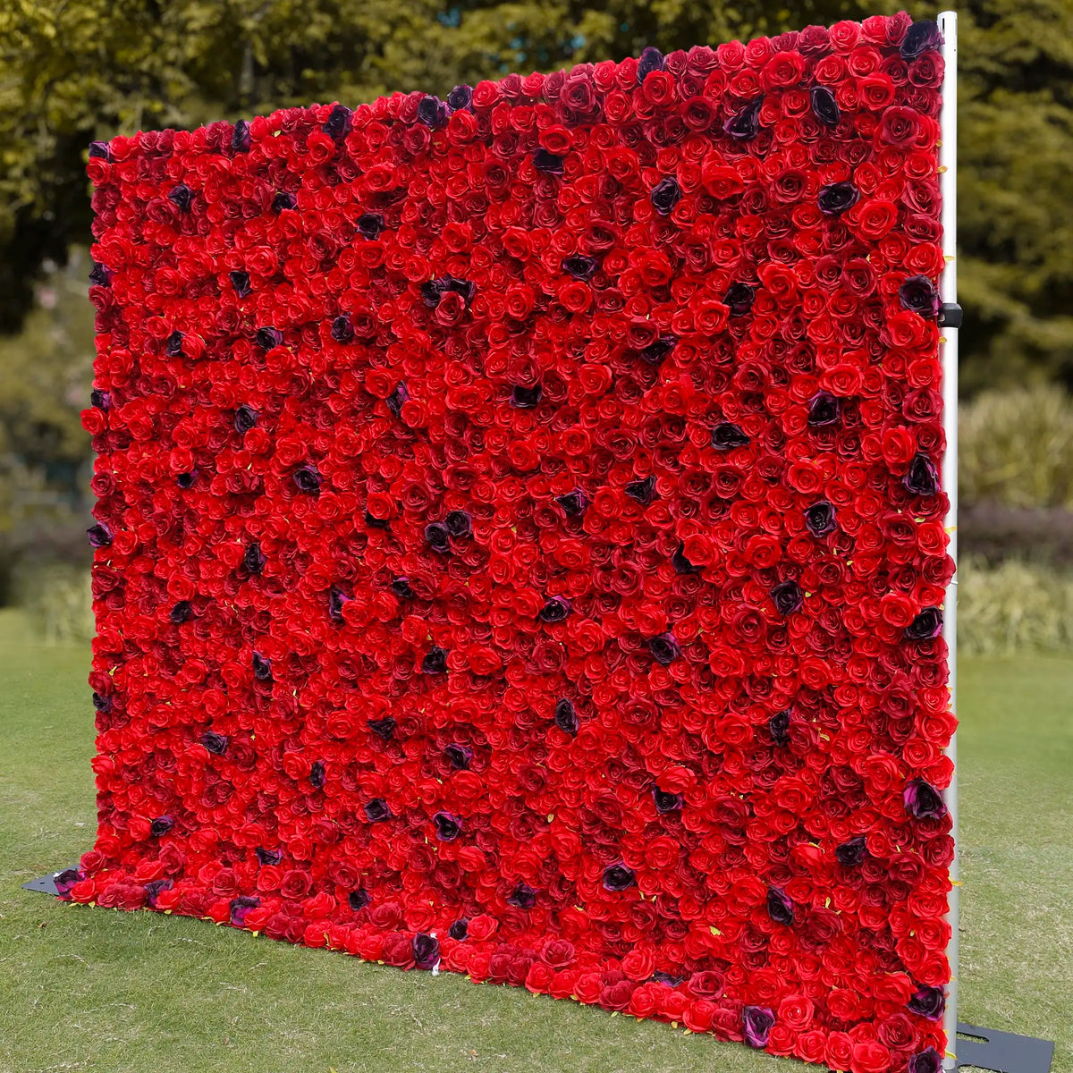 Rosy 3D Red Rose with Black Dot Embellish Floral Wall
