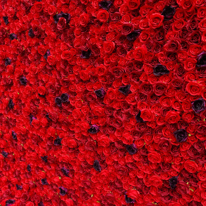 Rosy 3D Red Rose with Black Dot Embellish Floral Wall