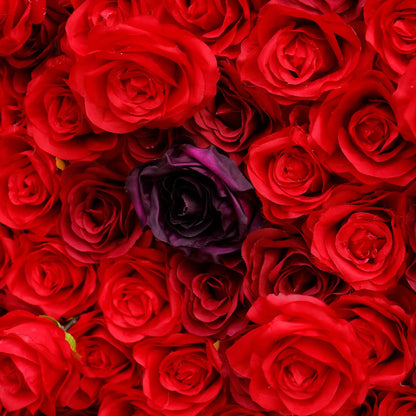 Rosy 3D Red Rose with Black Dot Embellish Floral Wall