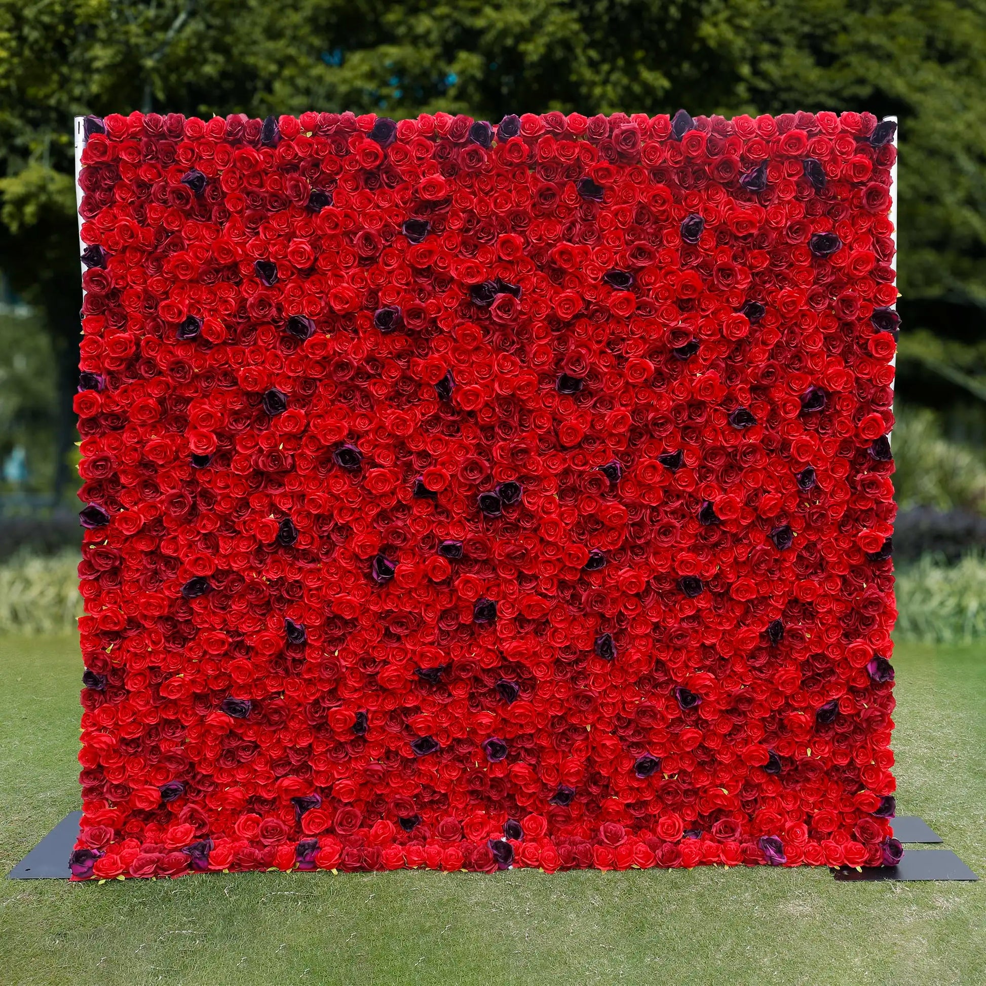 Rosy 3D Red Rose with Black Dot Embellish Floral Wall