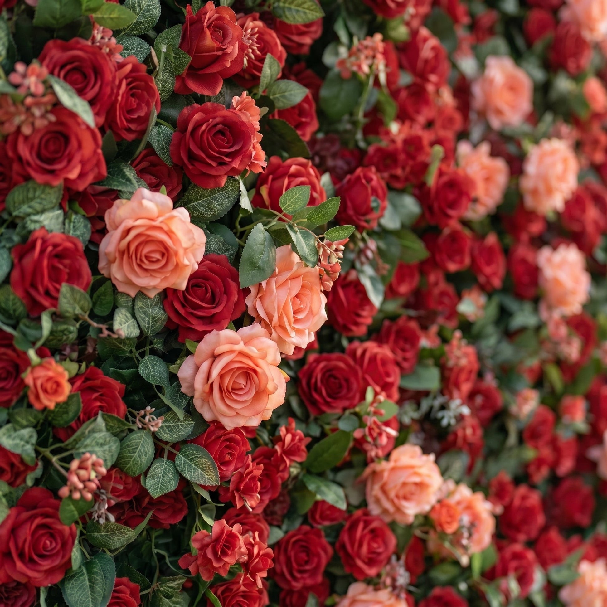 Dimensional detail of red coral roses and patterned foliage