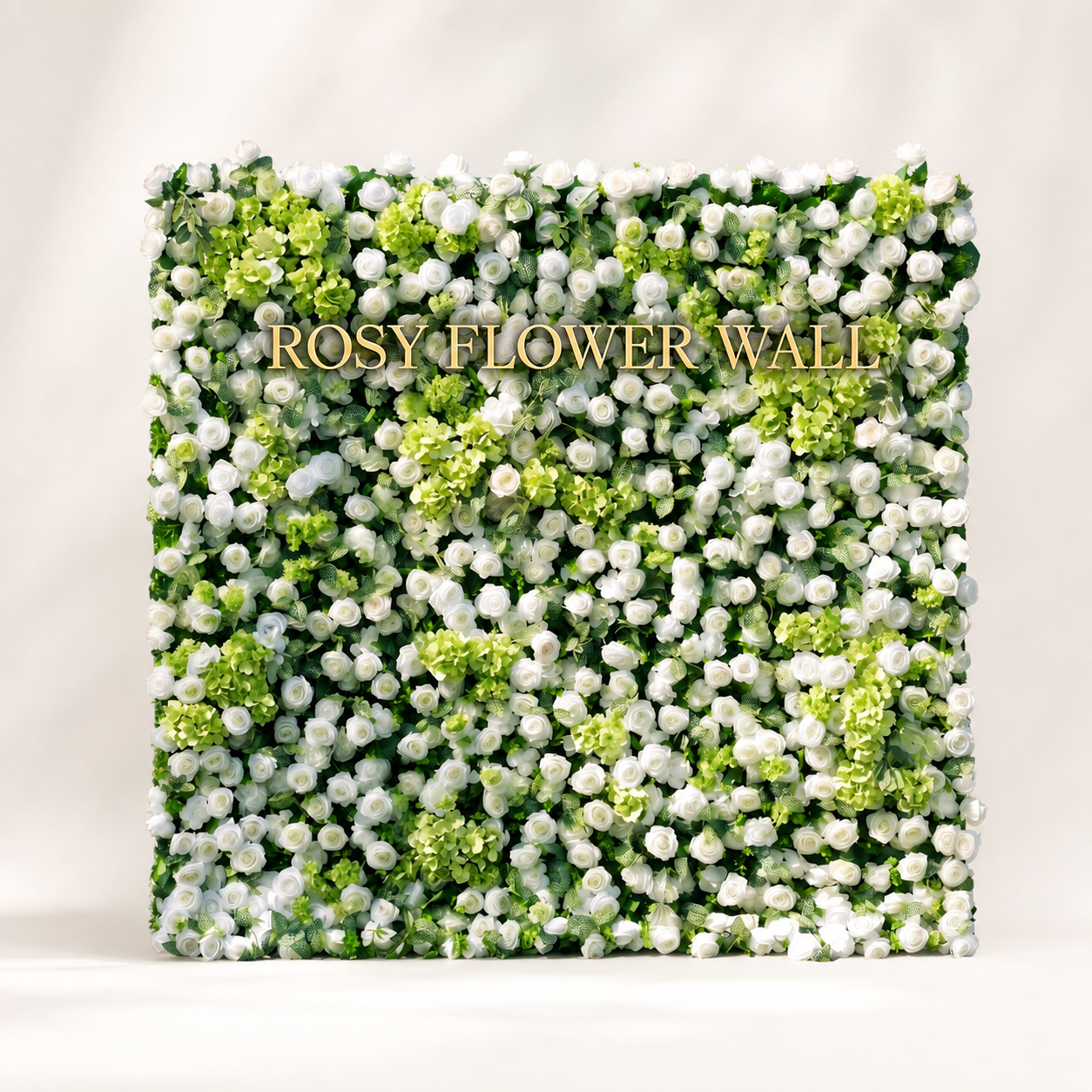 White rose and lime green hydrangea flower wall on warm white studio background