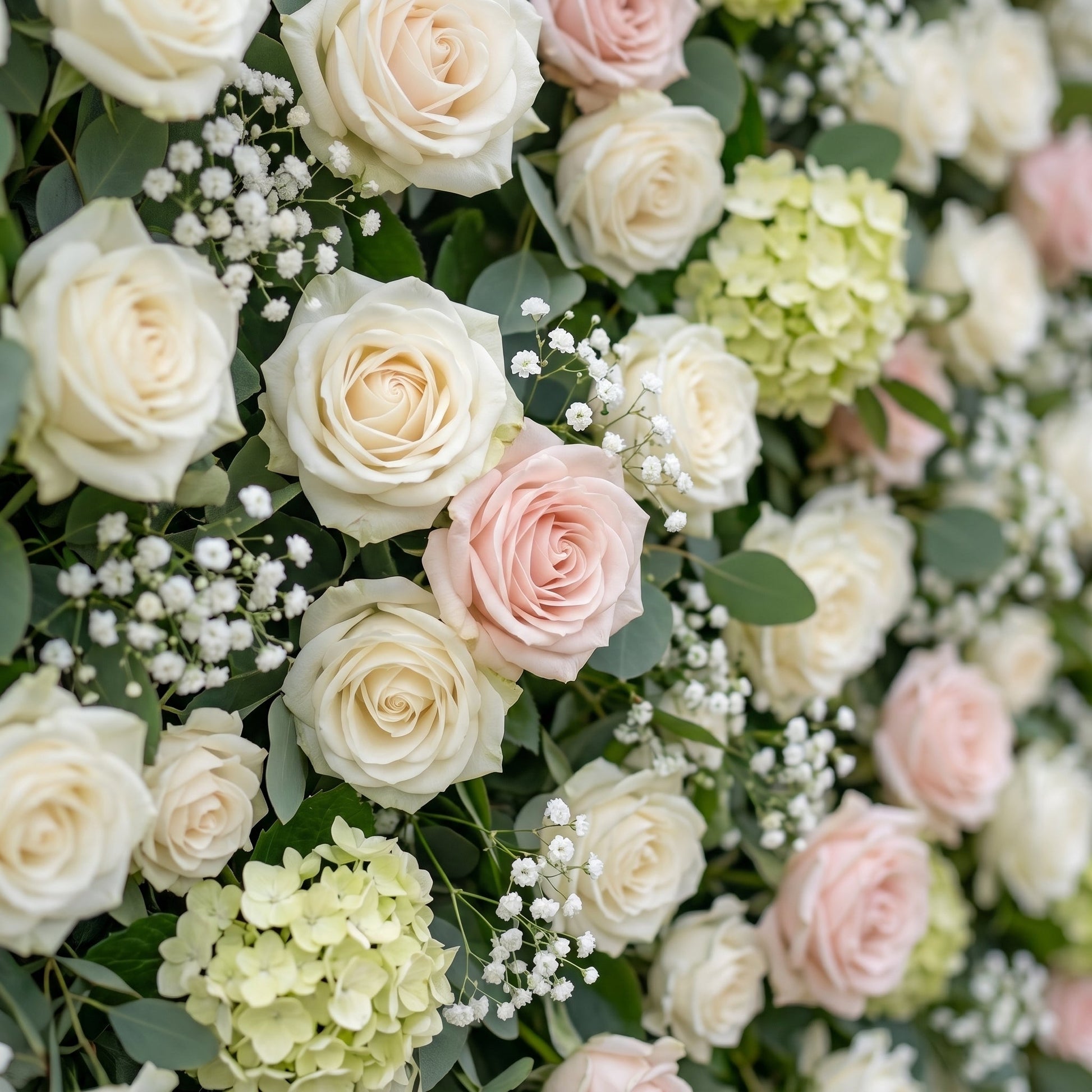White blush rose and greenery flower wall close-up