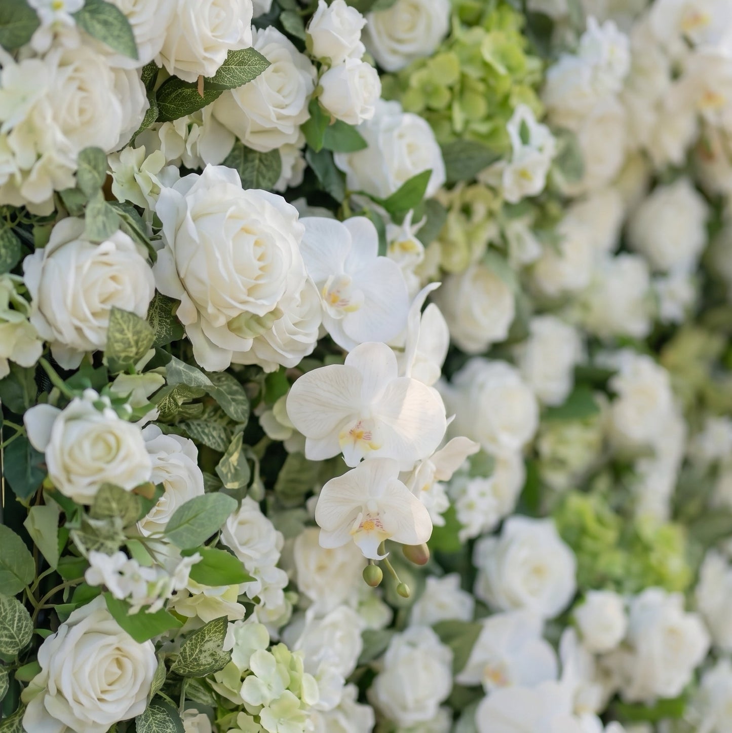 3D white silk flower wall texture