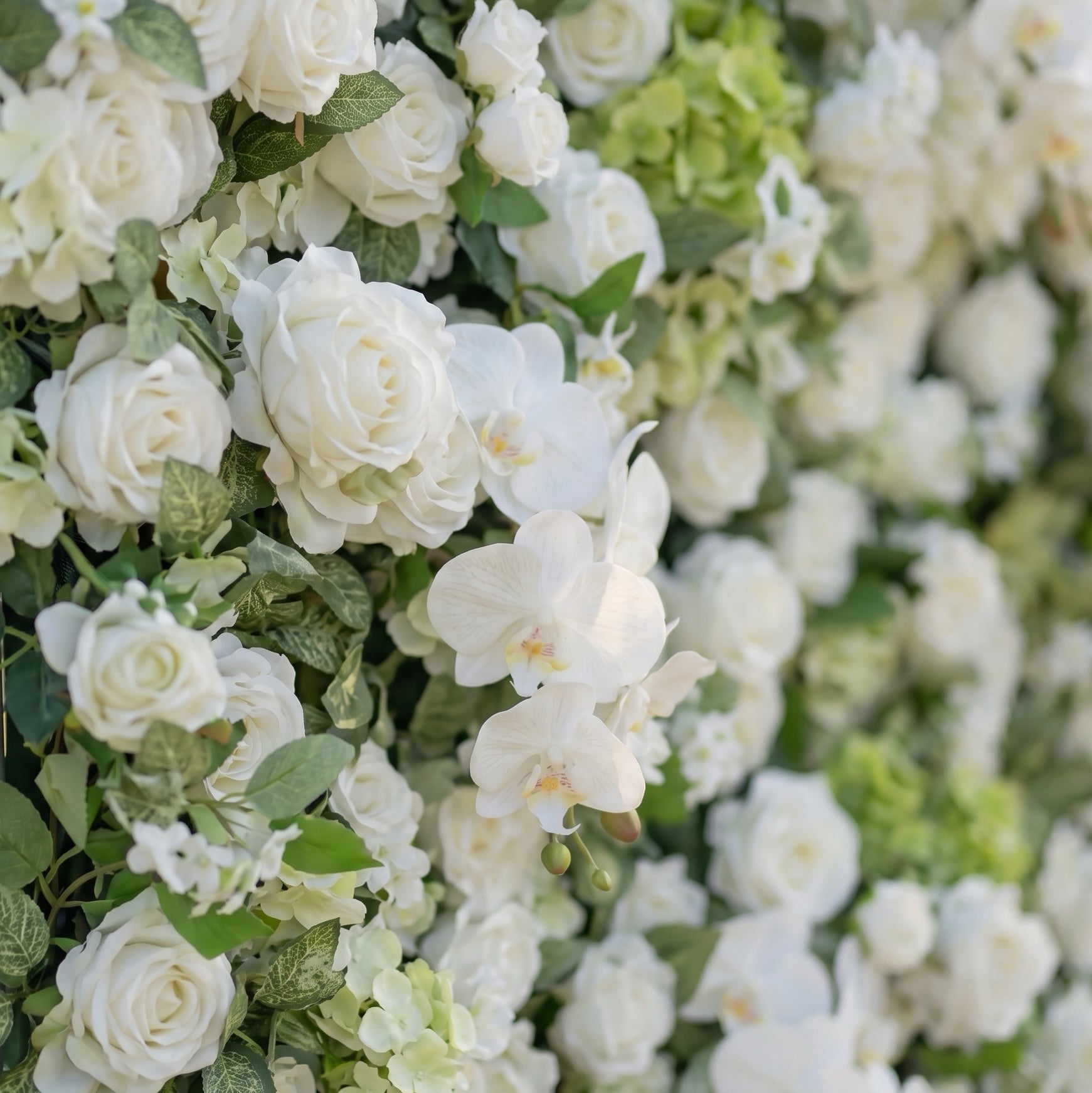 3D white silk flower wall texture