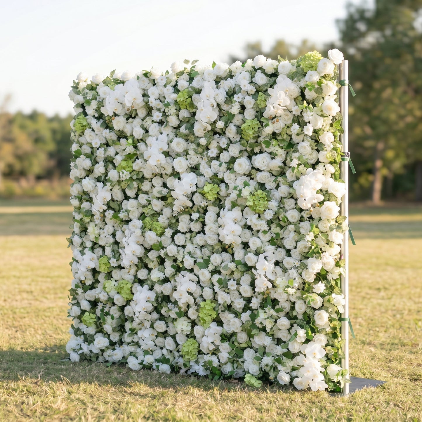 White orchid flower wall right side view