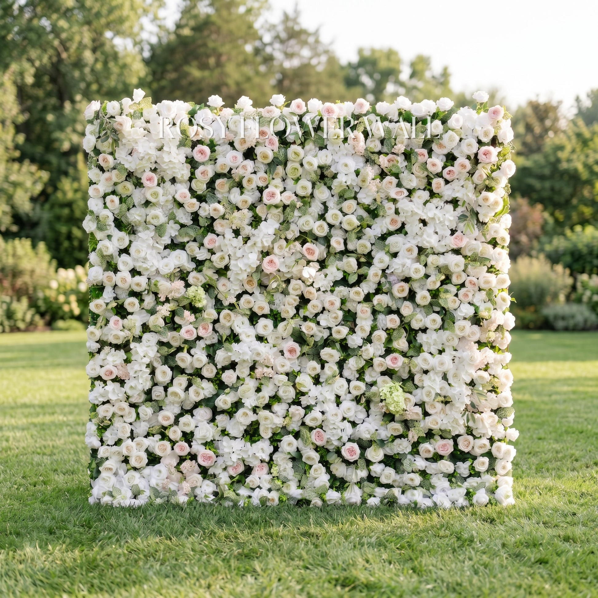 White rose flower wall with transparent Rosy Flower Wall logo