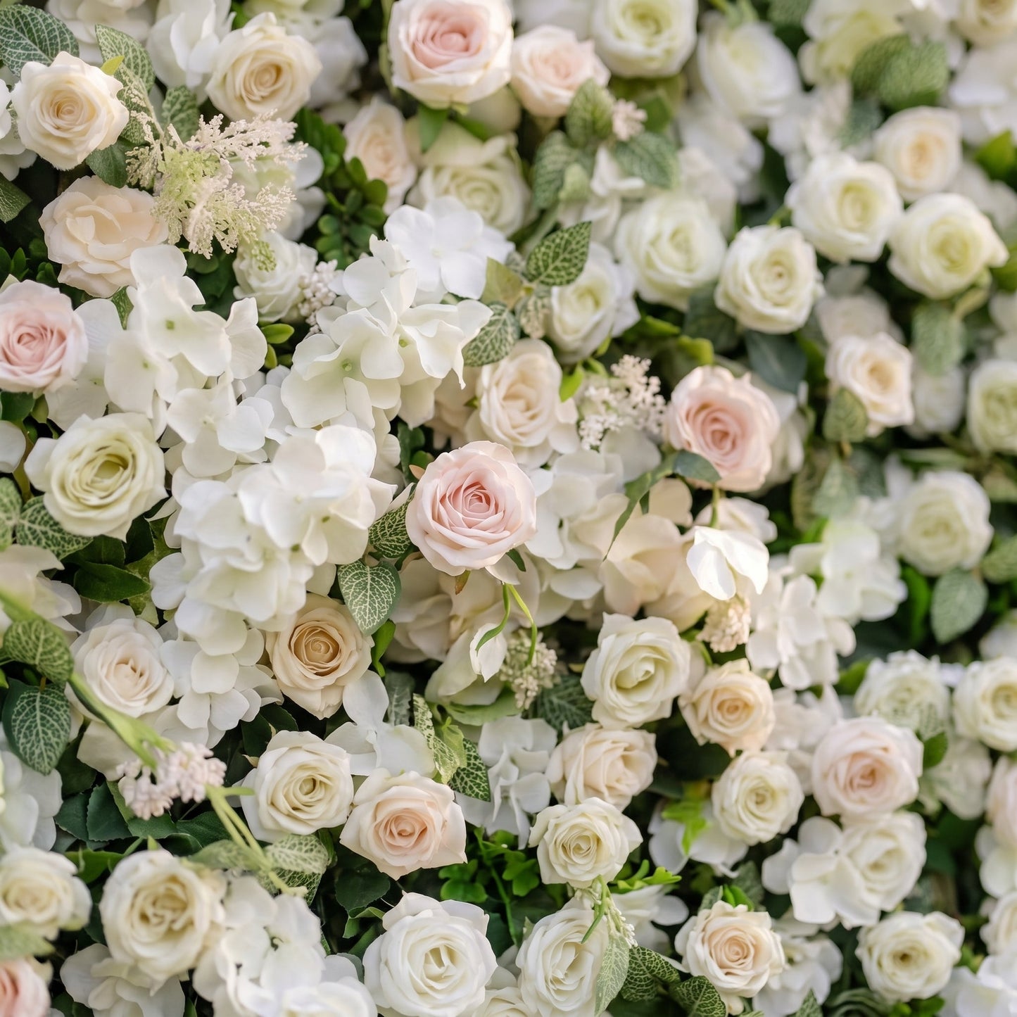 White silk rose flower wall close-up