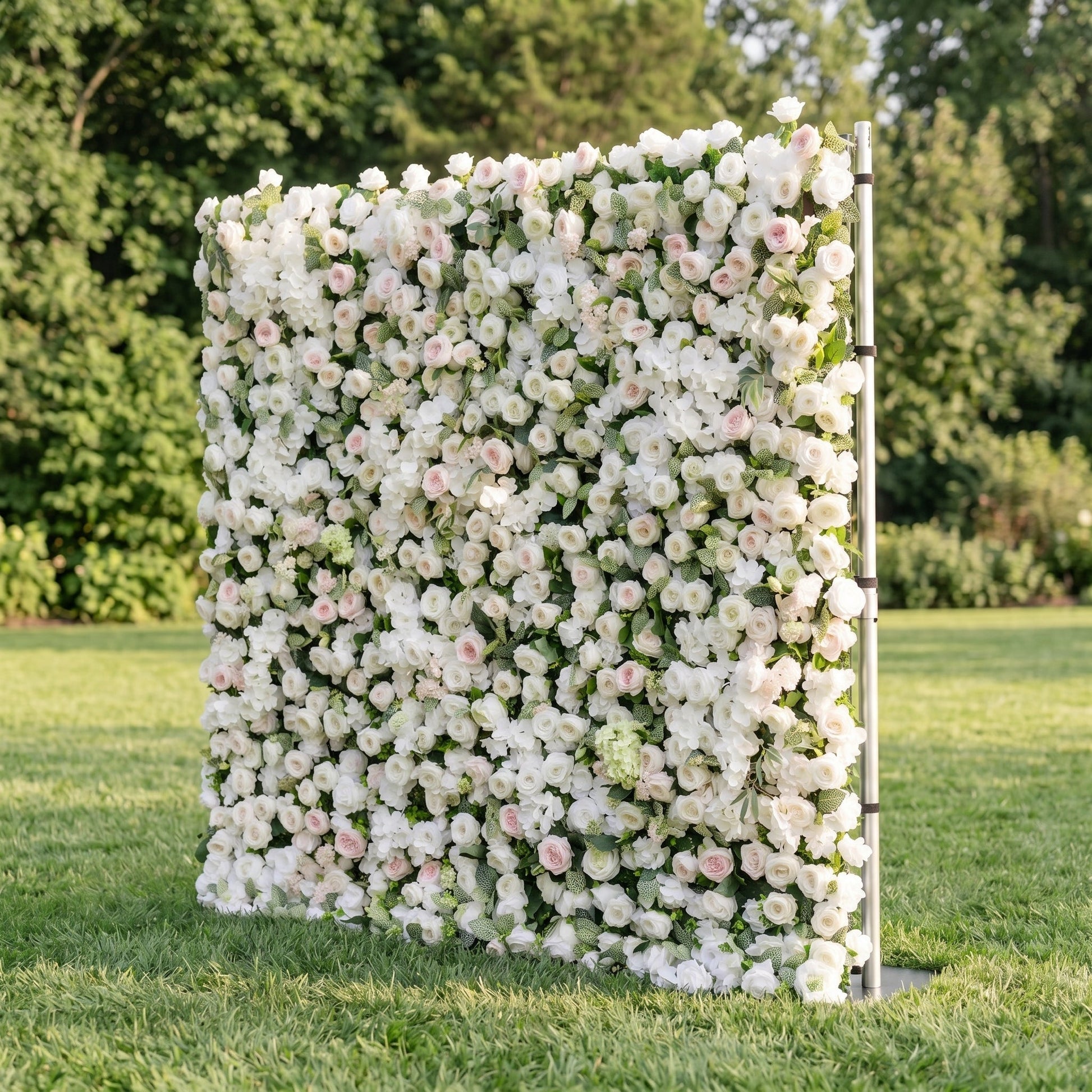 White rose flower wall side view