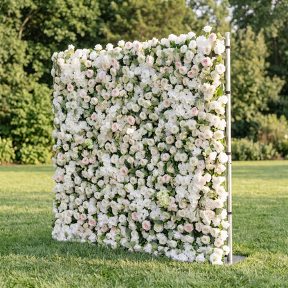 White rose flower wall side view