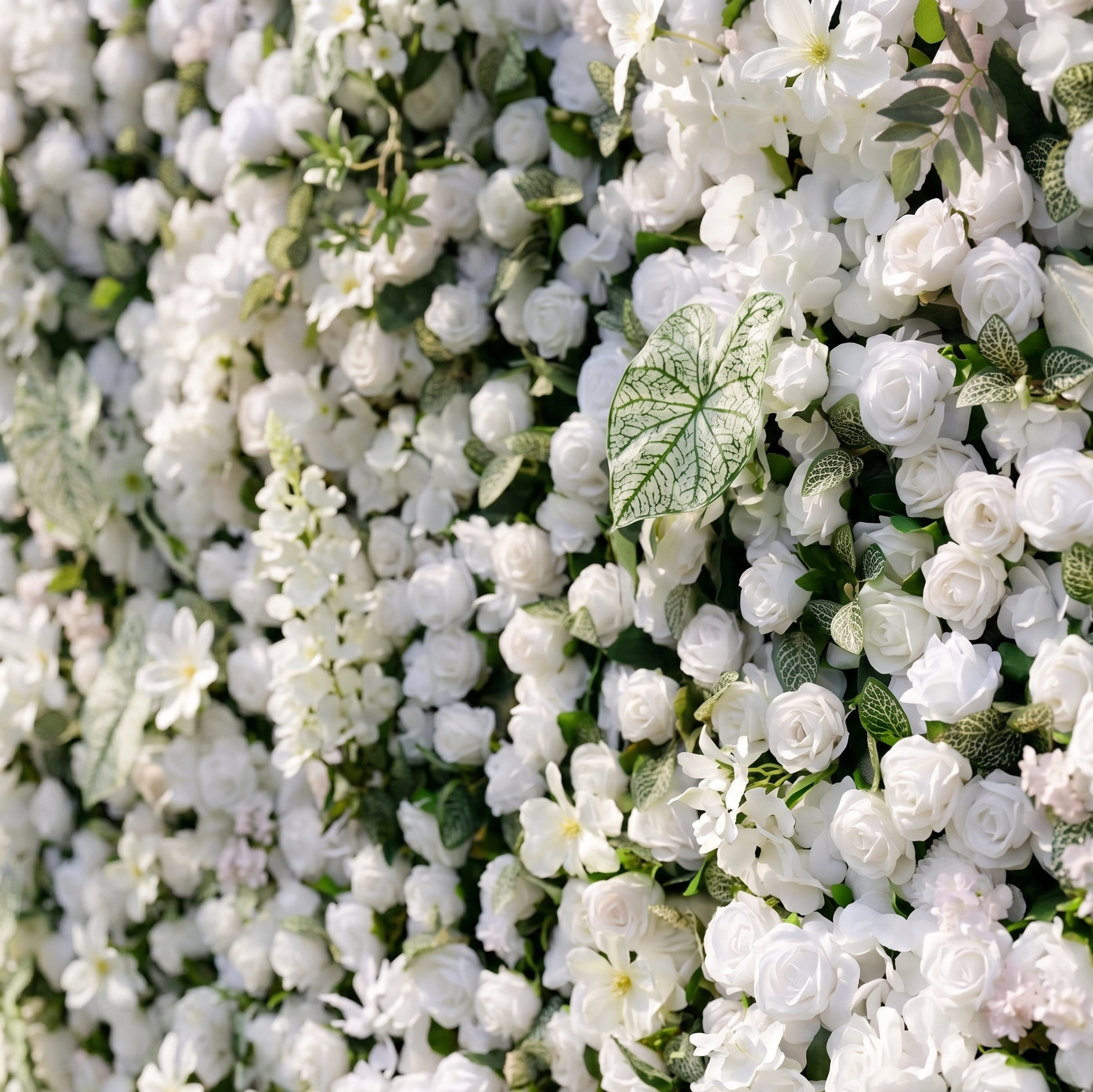 White rose and greenery flower wall close-up