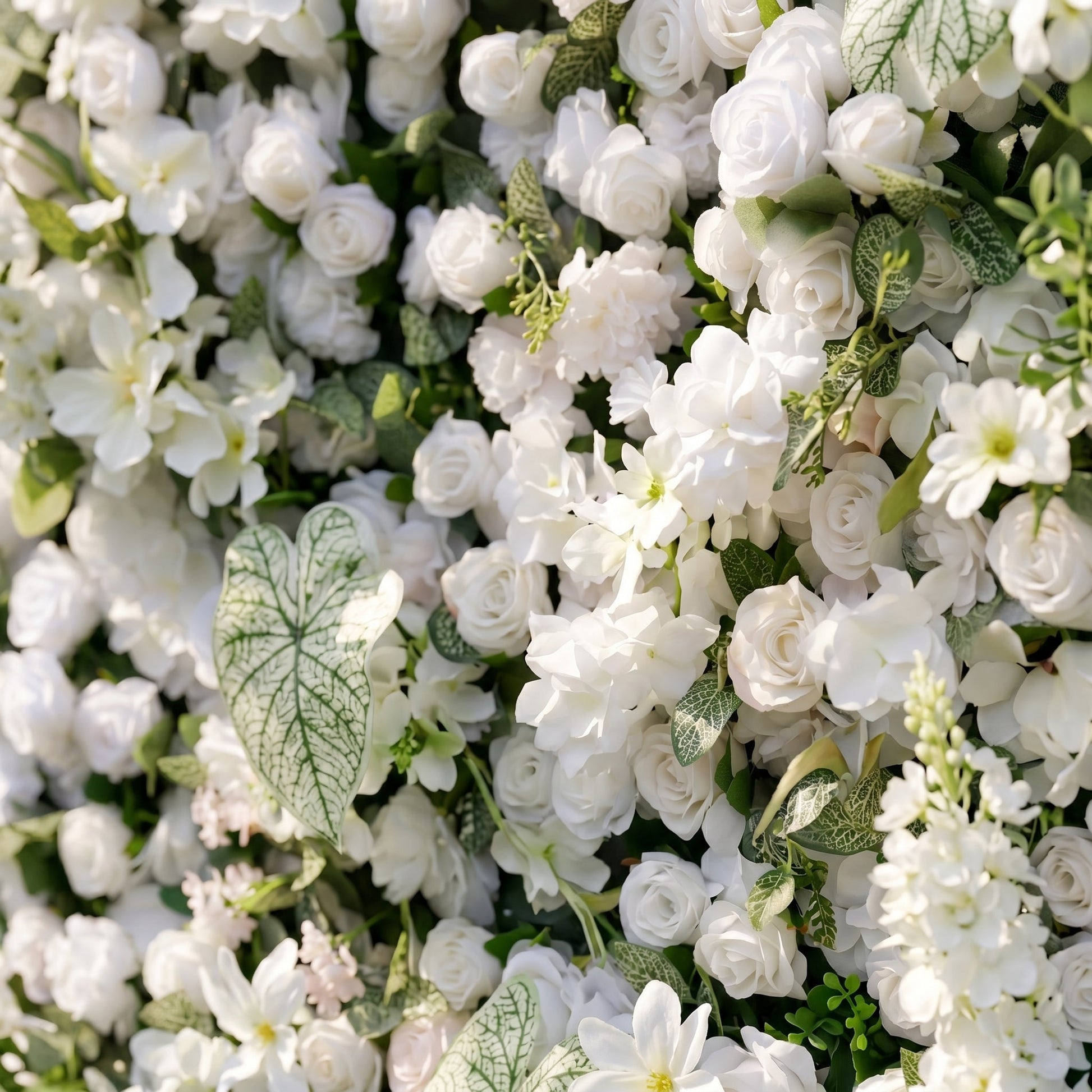 White rose botanical backdrop detail